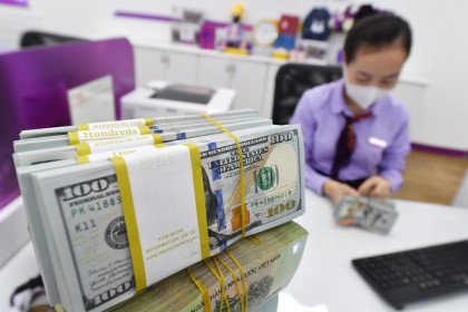 SSI Research: Tỷ giá USD/VND tiếp tục chịu nhiều áp lực thời gian tới
