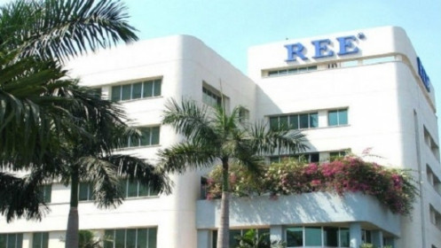 Công ty Cổ phần Cơ điện lạnh (REE) chuyển sở hữu "chui" hàng trăm triệu cổ phiếu