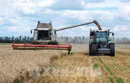 Ukraine tiếp tục chuẩn bị cho xuất khẩu ngũ cốc bất chấp vụ tấn công tên lửa