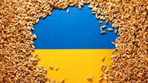 Ukraine có thể xuất khẩu tới 60 triệu tấn ngũ cốc trong 8-9 tháng tới