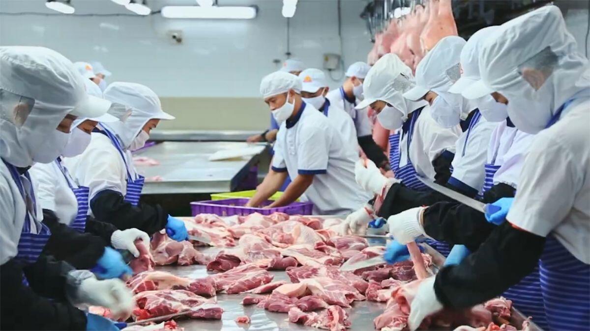 Lý giải nguyên nhân giá thịt lợn tăng mạnh tại các tỉnh phía Nam 