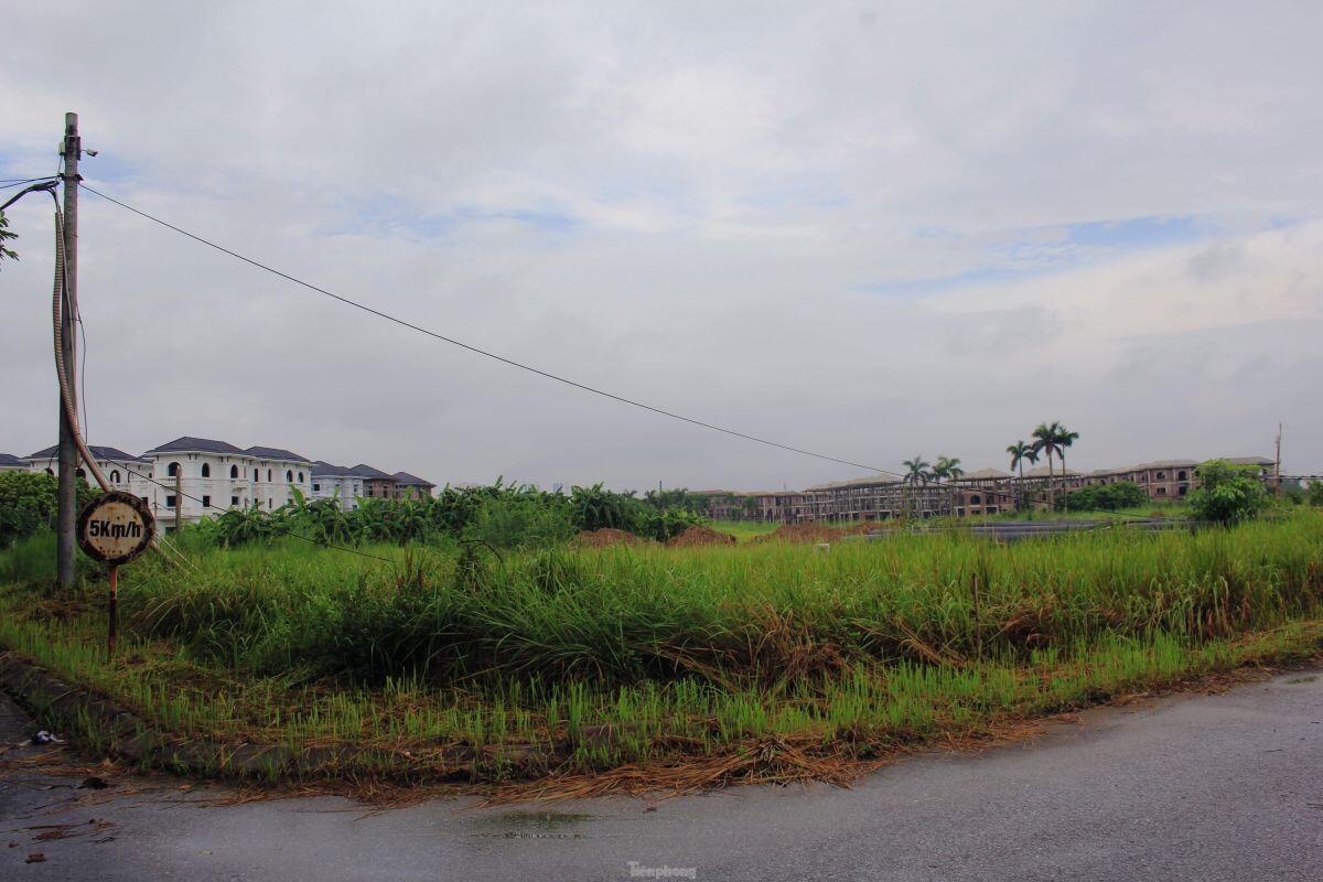Cảnh nhếch nhác, hoang tàn ở những khu biệt thự 'triệu đô' phía Tây Hà Nội