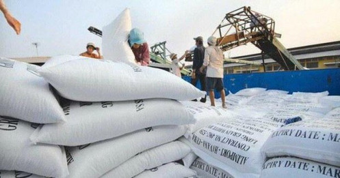 Giá gạo Việt Nam cao nhất thế giới, liên tục đột phá thị trường mới