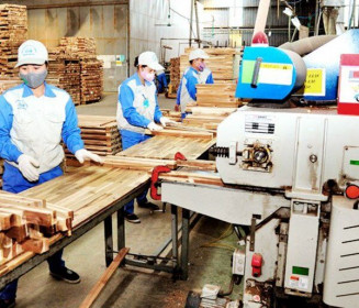 Sản xuất gỗ và lâm sản tiếp tục “giảm tốc”