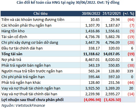 Quý 2, HNG lỗ ròng hơn 557 tỷ đồng, nợ tại THAGRICO tăng thêm gần 574 tỷ đồng