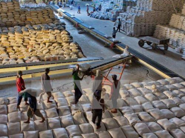 Thị trường nông sản thế giới: Giá gạo Thái Lan và Việt Nam đều giảm