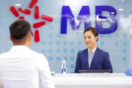 MB sắp bán 5 lô đất gần 2.000 m2 tại Đồng Nai giá khởi điểm 16 tỷ đồng