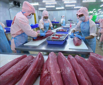 Việt Nam tăng trưởng xuất khẩu sang EU nhờ Hiệp định EVFTA