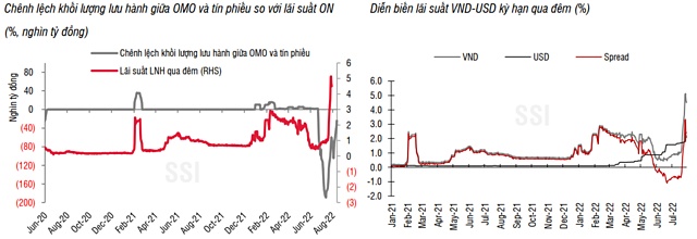 SSI Research: Thanh khoản hệ thống ngân hàng có thể tạm thời vẫn chịu áp lực