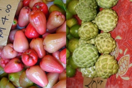 Trung Quốc dừng nhập khẩu hoa quả từ Đài Loan, cấm xuất khẩu cát