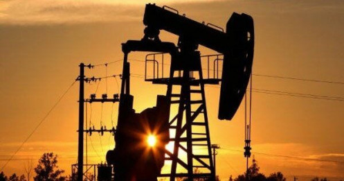 Giá xăng dầu hôm nay 5/8: Vì sao giá dầu liên tục giảm sâu?