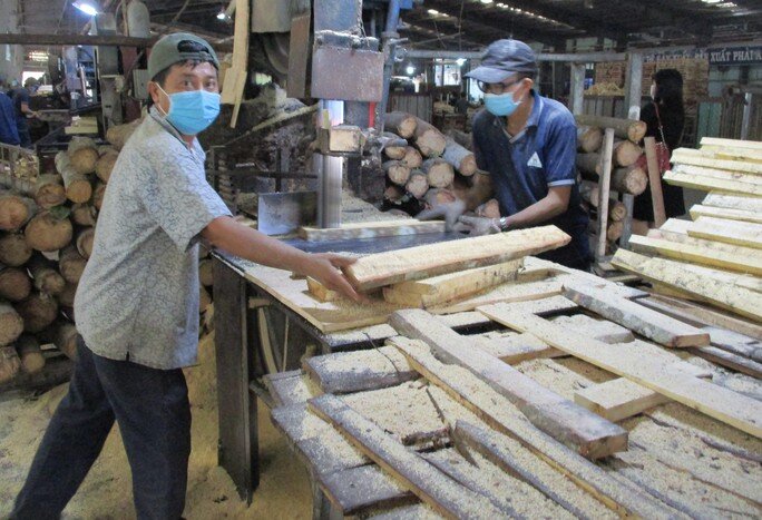Tập đoàn công nghiệp cao su Việt Nam lãi gần 2.600 tỉ đồng