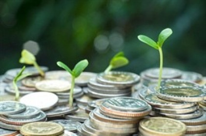 Tuần 08-12/08: Cổ tức cao nhất chỉ 25%