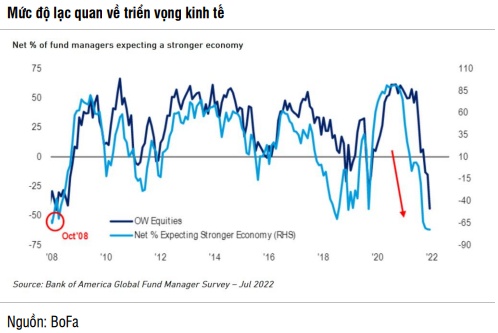 SSI Research: P/E thị trường được định giá 11 lần năm 2022 