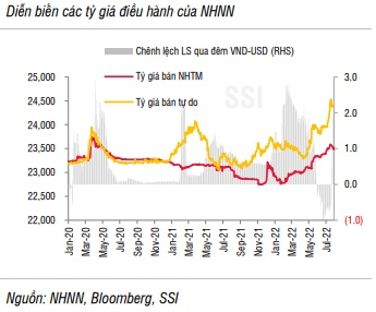 SSI Research: P/E thị trường được định giá 11 lần năm 2022 