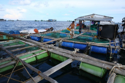 Xử lý dứt điểm 340 bè nuôi trồng thủy sản trái phép trên vịnh Bái Tử Long