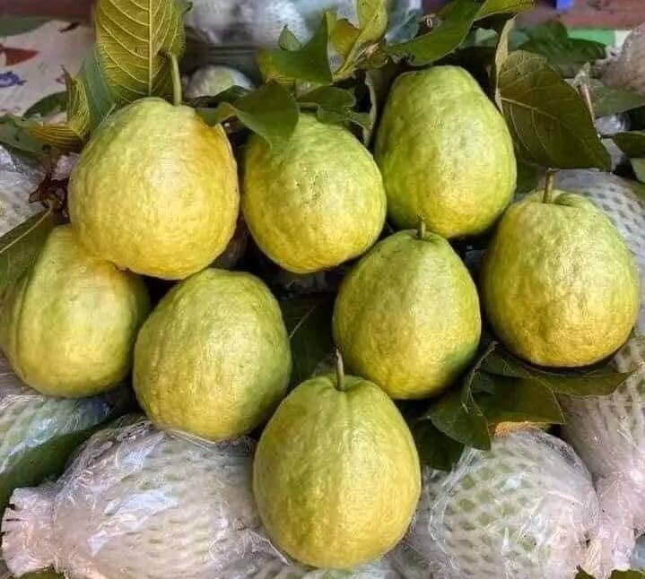 Bất ngờ ổi ngập chợ với giá chỉ 3.000 đồng/kg, chị em rủ nhau mua cả yến