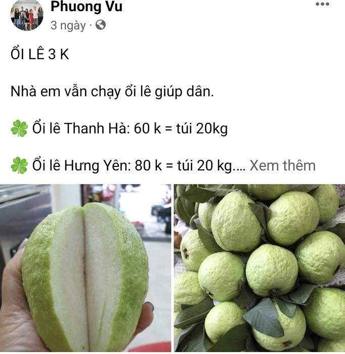 Bất ngờ ổi ngập chợ với giá chỉ 3.000 đồng/kg, chị em rủ nhau mua cả yến