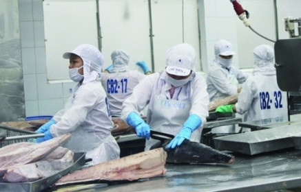 Xuất khẩu cá ngừ sang châu Âu sụt giảm từ quý II