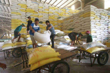 Thị trường nông sản tuần qua: Giá gạo xuất khẩu có xu hướng giảm