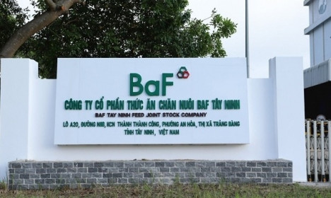 Nông nghiệp BaF sỡ hữu thêm công ty chăn nuôi tại Tây Ninh