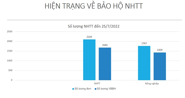 Nông sản Việt có nguy cơ bị mất nhãn hiệu, thương hiệu trên thị trường quốc tế