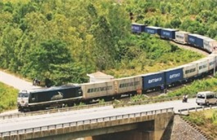 Chính phủ thống nhất phương án đầu tư 2 tuyến đường sắt vùng Đông Nam Bộ
