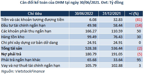 Lãi ròng bán niên của DHM giảm 36% sau soát xét