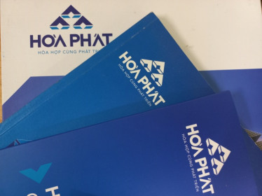 Có nên đầu tư ngắn hạn vào cổ phiếu HPG?