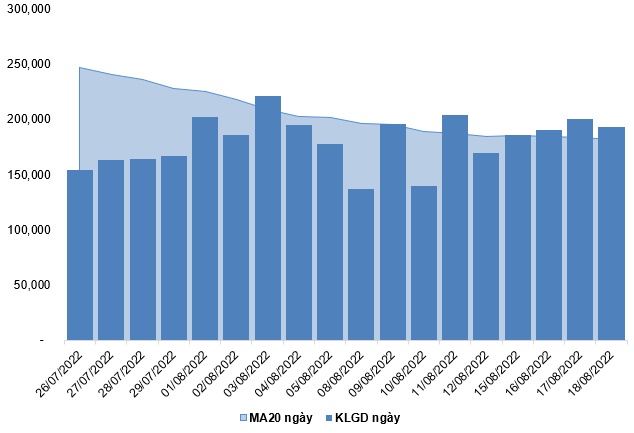 Chứng khoán phái sinh Ngày 19/08/2022: Áp lực bán lớn dần