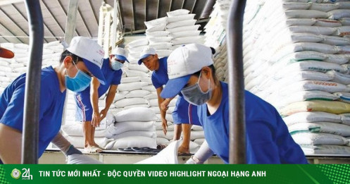Vì sao gạo Việt ''mất ngôi'' giá cao nhất thế giới?