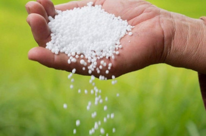 Giá ure liên tục sụt giảm, đà đi xuống có tiếp diễn?