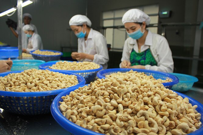 Tham tán thương mại "hiến kế" để giúp nông sản Việt xuất ngoại