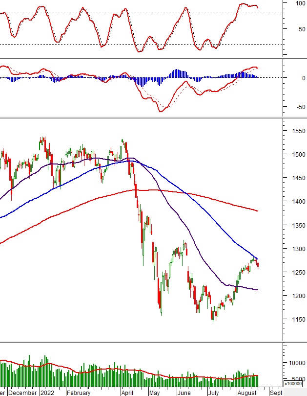 Vietstock Daily 23/08/2022: Dòng tiền suy yếu