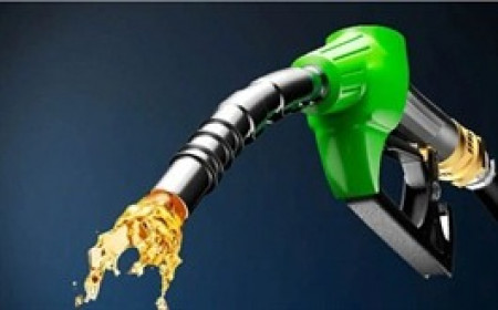 Giá dầu thổi bùng lợi nhuận quý 2 doanh nghiệp dầu khí