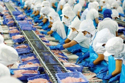 Thuỷ sản Nam Việt rót thêm 38 tỷ đồng vào dự án sản xuất collagen
