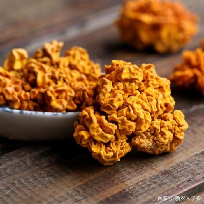 Bắt gỗ đẻ "vàng”, đem bán hốt bạc triệu/kg dễ như chơi