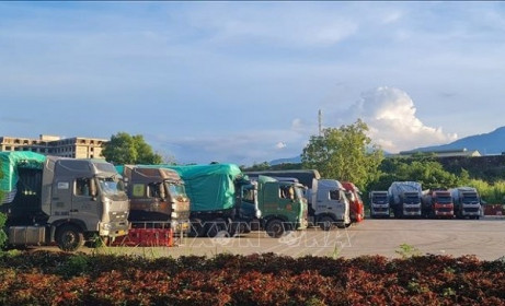 Hơn 1.000 phương tiện chở hàng bị 'mắc kẹt' tại cửa khẩu Lào Cai