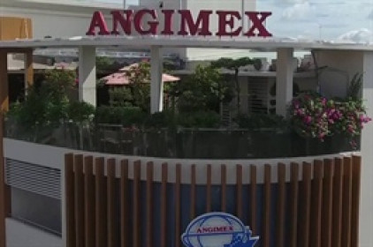 Angimex nhận chuyển nhượng 19% vốn từ Louis Capital tại công ty con
