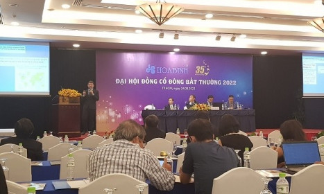 Ông Lê Viết Hải: Vẫn tiếp tục kế hoạch phát hành 69 triệu cổ phiếu riêng lẻ đến 2023