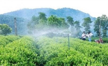UBND tỉnh Thái Nguyên đấu giá cổ phần một công ty vật tư nông nghiệp, lượng đăng ký mua ồ ạt