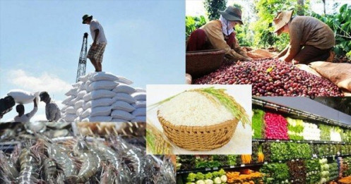 Lộ diện 7 mặt hàng nông, lâm, thuỷ sản xuất khẩu đạt trên 2 tỷ USD