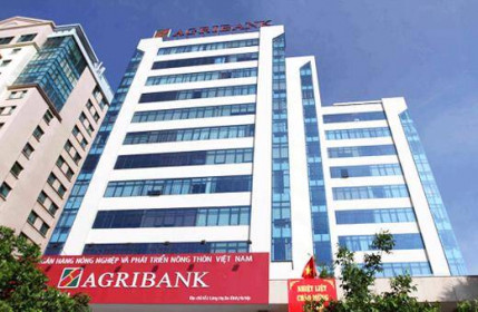 Agribank rao bán lô đất 3.000m2 của công ty con thuộc FLC với giá 220 tỷ đồng