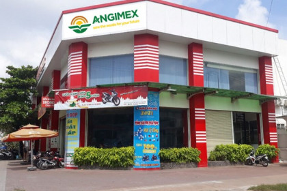Louis Holdings bán toàn bộ cổ phần Angimex