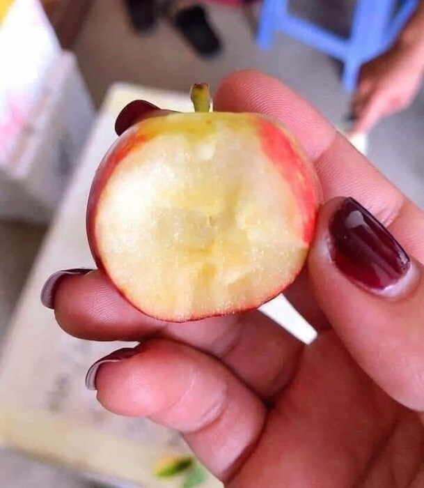 Bất ngờ táo cherry được rao bán với giá rẻ hơn mớ rau muống, nguồn gốc ở đâu?