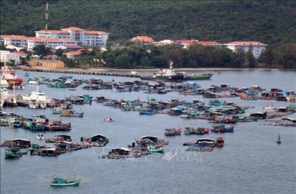 Giá trị sản xuất thủy sản Kiên Giang tăng gần 8%