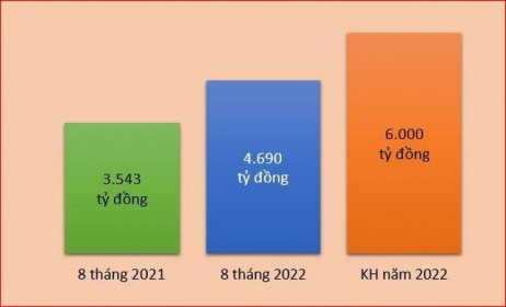 TNG đạt doanh thu tháng 8 tăng 20% so với cùng kỳ