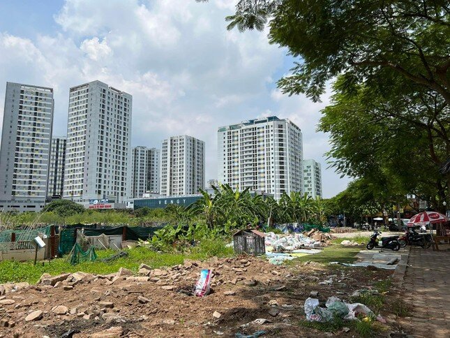 Nghịch lý phường đông dân nhất Hà Nội: Chung cư dày đặc, đất xây trường bỏ hoang