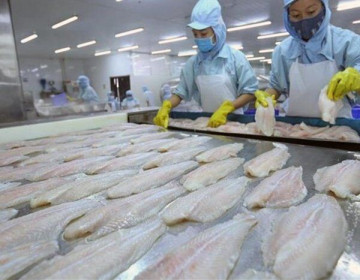 Đồng Tháp phấn đấu xuất khẩu cá tra đạt 100 triệu USD