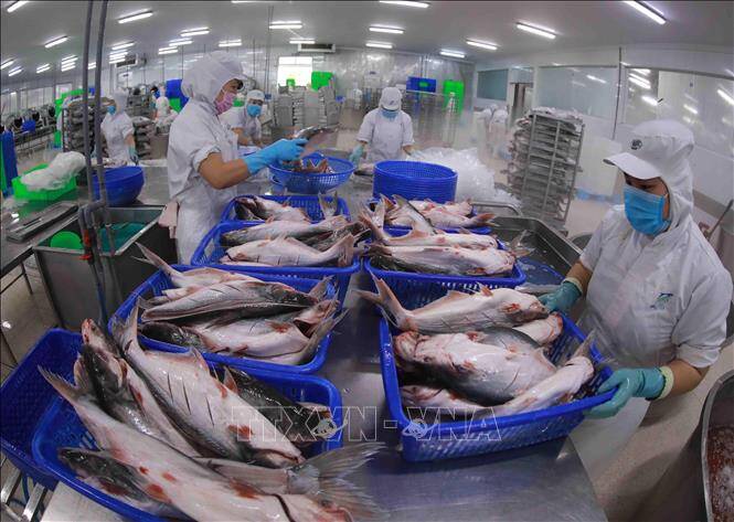 Xuất khẩu tôm và cá tra tăng trưởng trái chiều